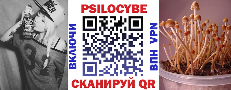 купить  цена  Томск  Псилоцибиновые грибы мухоморы 